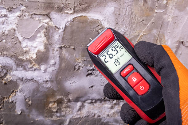 Best Mold Testing  in Burley, ID