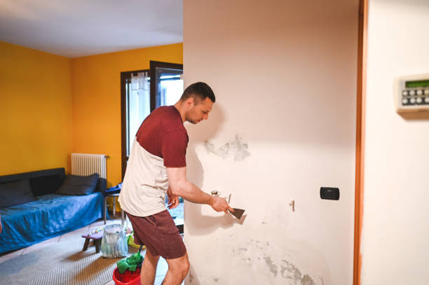 Best Residential Mold Removal  in Burley, ID